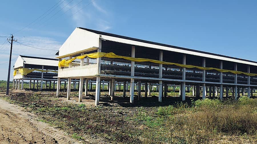 ಗೌರಿಬಿದನೂರು ತಾಲ್ಲೂಕಿನ ಎಂ. ಗೊಲ್ಲಹಳ್ಳಿಯಲ್ಲಿರುವ ಕೋಳಿ ಫಾರ್ಮ್ 