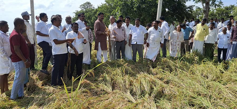 ಕಾರಟಗಿ ತಾಲ್ಲೂಕಿನ ವಿವಿಧೆಡೆ ಮಳೆಗೆ ಭತ್ತದ ಬೆಳೆ ಹಾನಿಗೀಡಾಗಿದ್ದು, ಭಾನುವಾರ ಜಿಲ್ಲಾ ಉಸ್ತುವಾರಿ ಸಚಿವ ಶಿವರಾಜ ತಂಗಡಗಿ ಭೇಟಿ ನೀಡಿ ಪರಿಶೀಲಿಸಿದರು