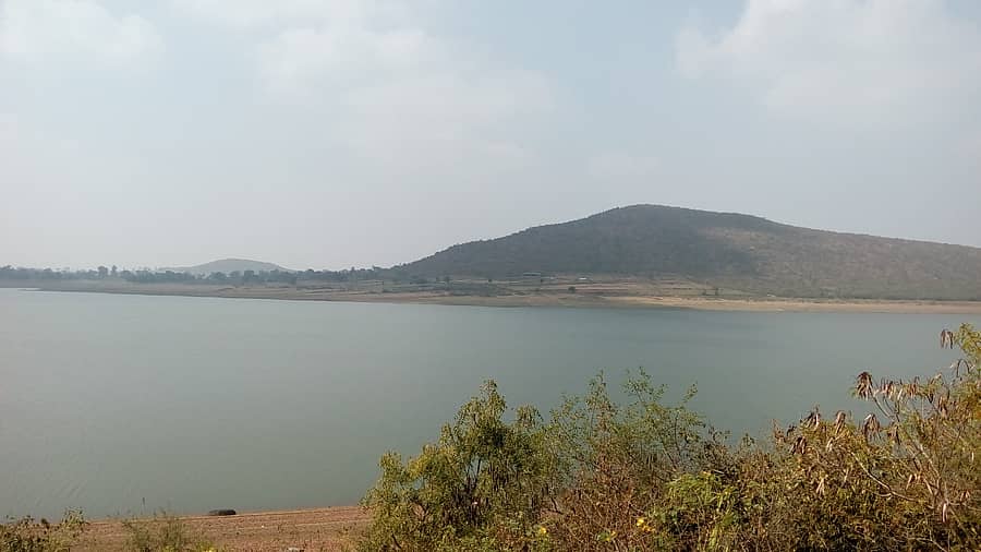 ನುಗು ಜಲಾಶಯ ಹಾಗೂ ವನ್ಯಜೀವಿ ಧಾಮ