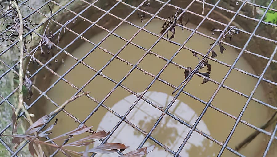 ಬಾವಿಯ ರಂದ್ರಗಳಿಂದ ಕೆಸರು ಮಿಶ್ರಿತ ನೀರು ಬಾವಿಯನ್ನು ಸೇರಿ ಕಲುಷಿತವಾಗಿರುವುದು