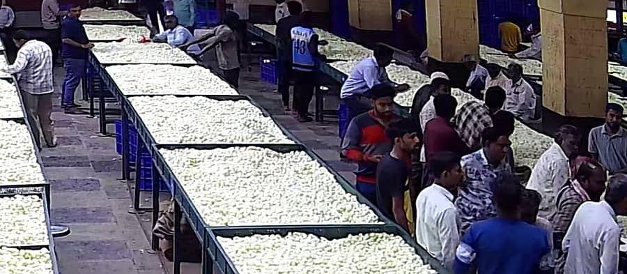 ವಿಜಯಪುರ ಸರ್ಕಾರಿ ರೇಷ್ಮೆ ಗೂಡಿನ ಮಾರುಕಟ್ಟೆ