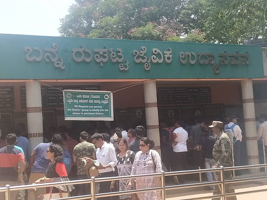 ಬನ್ನೇರುಘಟ್ಟ ಜೈವಿಕ ಉದ್ಯಾನ(ಸಾಂದರ್ಭಿಕ ಚಿತ್ರ)