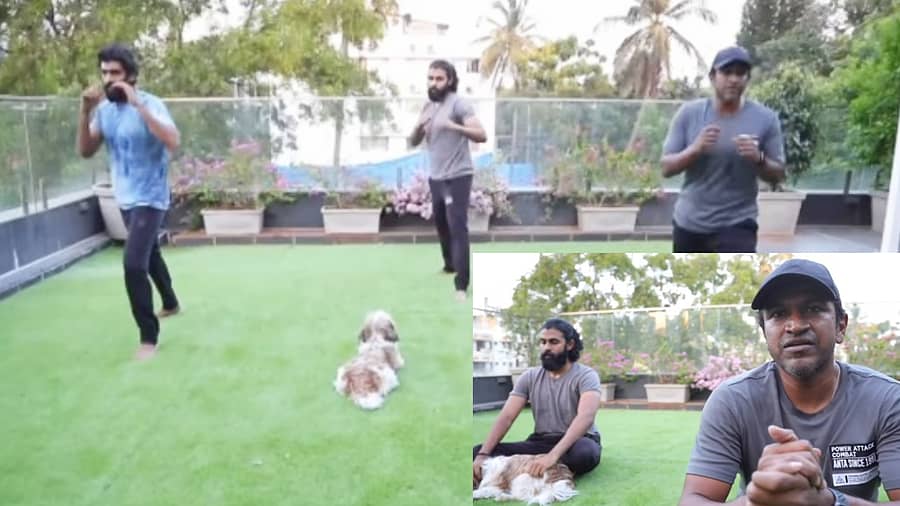 <div class="paragraphs"><p>ಚಿತ್ರ ಕೃಪೆ: <strong><a href="https://www.instagram.com/yuva_rajkumar/">yuva_rajkumar</a></strong></p></div>