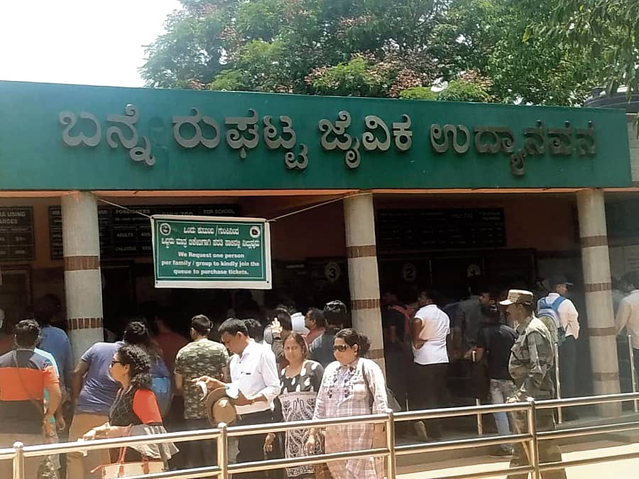 ಬನ್ನೇರುಘಟ್ಟ ಜೈವಿಕ ಉದ್ಯಾನ(ಸಾಂದರ್ಭಿಕ ಚಿತ್ರ)