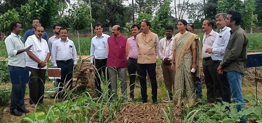 ಮಂಡ್ಯ ಕೃಷಿ ವಿಜ್ಞಾನಗಳ ವಿಶ್ವವಿದ್ಯಾಲಯದ ವಿ.ಸಿ.ಫಾರಂನಲ್ಲಿ ನೈಸರ್ಗಿಕ ಕೃಷಿ ಪದ್ಧತಿಯಡಿ ಕಬ್ಬಿನಲ್ಲಿ ವಿವಿಧ ಅಂತರ ಬೆಳೆಗಳನ್ನು ಬೆಳೆದಿರುವ ಕೃಷಿ ತಾಕಿಗೆ ಜಿ.ಪಂ. ಸಿಇಒ ನಂದಿನಿ ಕೆ.ಆರ್. ಅವರು ಭೇಟಿ ನೀಡಿ ಪರಿಶೀಲನೆ ನಡೆಸಿದರು. ವಿಶೇಷಾಧಿಕಾರಿ ಕೆ.ಎಂ.ಹರಿಣಿ ಕುಮಾರ್, ಜಂಟಿ ಕೃಷಿ ನಿರ್ದೇಶಕ ಅಶೋಕ ವಿ.ಎಸ್. ಪಾಲ್ಗೊಂಡಿದ್ದರು