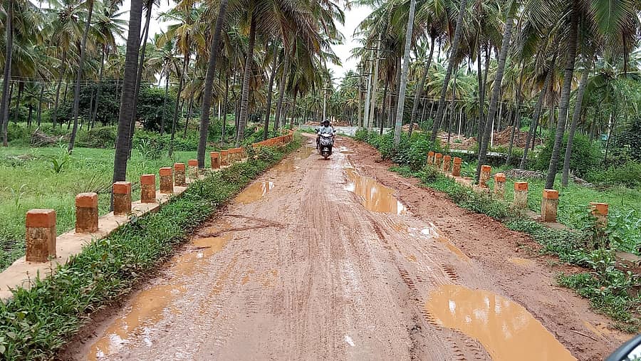 ತುರುವೇಕೆರೆ ತಾಲ್ಲೂಕು ಎ.ಹೊಸಹಳ್ಳಿ- ತಿಪಟೂರು ಗಡಿಭಾಗದ ರಸ್ತೆ