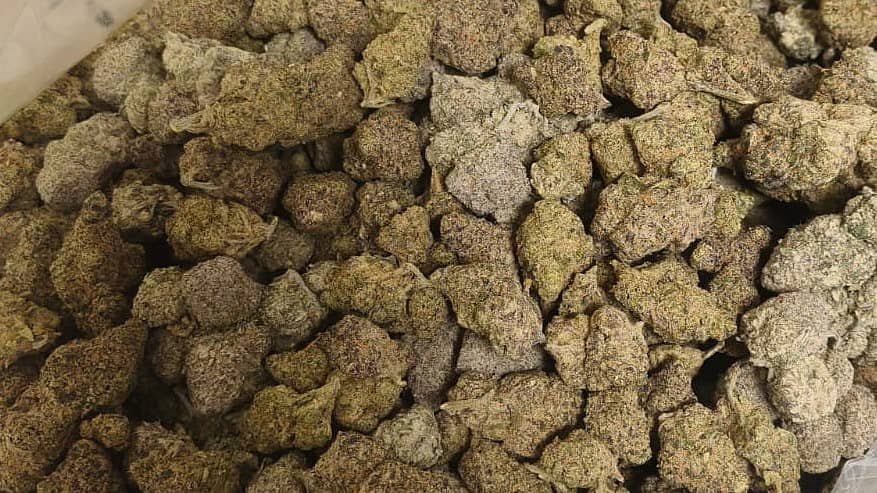 <div class="paragraphs"><p>ಪ್ರಾತಿನಿಧಿಕ ಚಿತ್ರ</p></div>