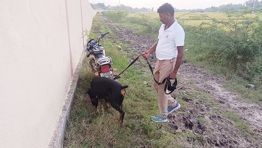 ಸಿಂಧನೂರಿನ ಇಂದಿರಾನಗರದ ಖಬರಸ್ತಾನ ಪಕ್ಕದಲ್ಲಿರುವ ಬಳ್ಳಾರಿಯವರ ಲೇಔಟ್ನಲ್ಲಿ ಯುವಕ ಕೊಲೆಯಾಗಿರುವ ಹಿನ್ನೆಲೆಯಲ್ಲಿ ಶನಿವಾರ ಶ್ವಾನದಳದವರು ತನಿಖೆ ನಡೆಸಿದರು