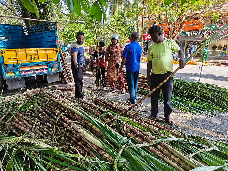 ತುಳಸಿ ಹಬ್ಬಕ್ಕಾಗಿ ಕಾರವಾರದಲ್ಲಿ ಗ್ರಾಹಕರು ಕಬ್ಬು ಖರೀದಿಯಲ್ಲಿ ತೊಡಗಿದ್ದರು.