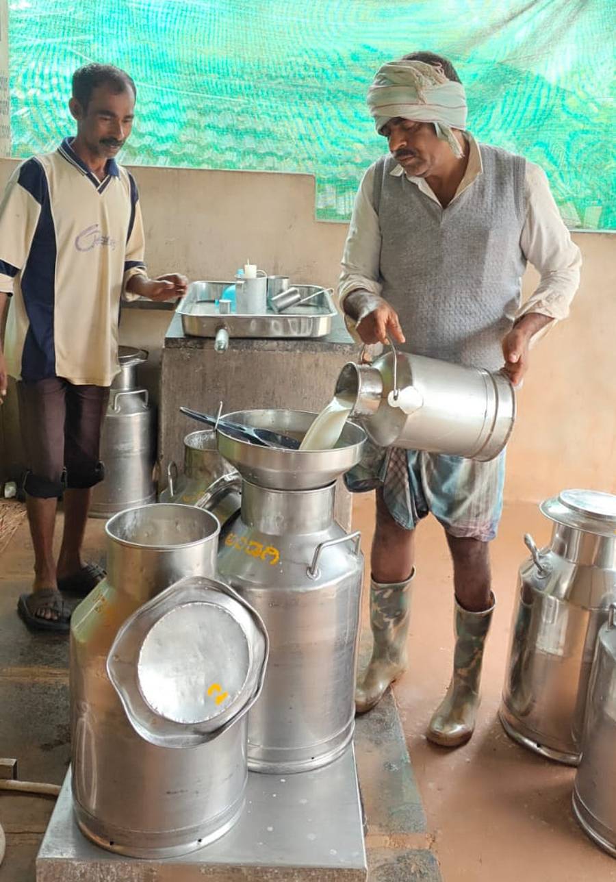 ಶಿರಸಿ ತಾಲ್ಲೂಕಿನ ಗ್ರಾಮೀಣ ಭಾಗದ ಡೈರಿಗೆ ಹೈನುಗಾರರು ಹಾಲು ತಂದಿರುವುದು