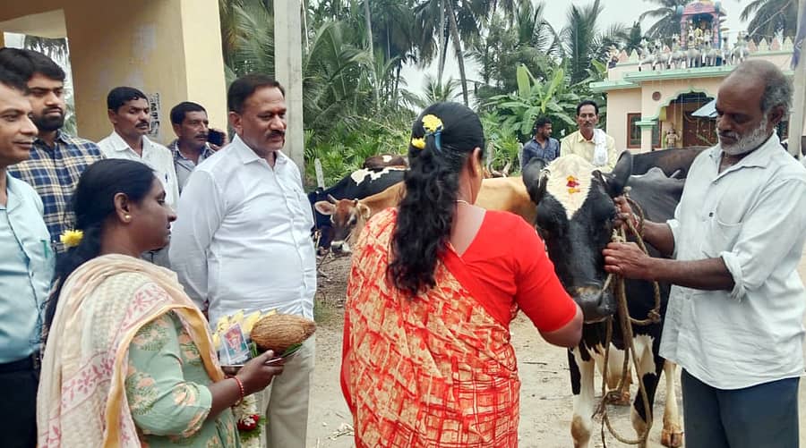 ಶ್ರೀರಂಗಪಟ್ಟಣ ತಾಲ್ಲೂಕಿನ ಎಂ. ಶೆಟ್ಟಹಳ್ಳಿಯಲ್ಲಿ ಪಶು ವೈದ್ಯಕೀಯ ಇಲಾಖೆ ಹಾಗೂ ಮಂಡ್ಯ ಹಾಲು ಒಕ್ಕೂಟದ ಸಹಯೋಗದಲ್ಲಿ ಸೋಮವಾರ ನಡೆದ ರಾಸುಗಳಿಗೆ 8ನೇ ಸುತ್ತಿನ ರಾಷ್ಟ್ರೀಯ ಕಾಲು ಬಾಯಿ ಜ್ವರ ನಿಯಂತ್ರಣ ಲಸಿಕಾ ಕಾರ್ಯಕ್ರಮಕ್ಕೆ ಶಾಸಕ ರಮೇಶ ಬಂಡಿಸಿದ್ದೇಗೌಡ ಅವರ ಸಮ್ಮುಖದಲ್ಲಿ ಚಾಲನೆ ನೀಡಲಾಯಿತು