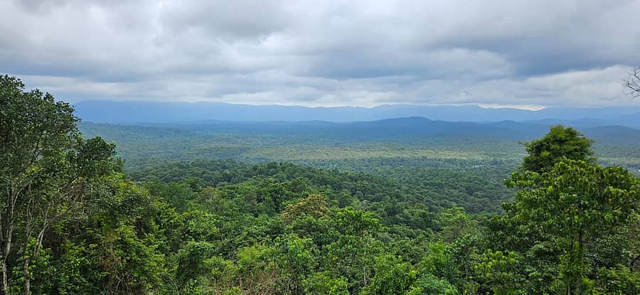 ಚಿಕ್ಕಮಗಳೂರು ಜಿಲ್ಲೆಯ ಅರಣ್ಯ ಪ್ರದೇಶ