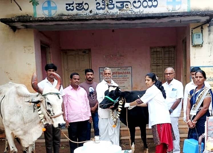 ಬೀದರ್ ತಾಲ್ಲೂಕಿನ ಯಾಕತಪುರದಲ್ಲಿ ಜಾನುವಾರಿಗೆ ಕಾಲುಬಾಯಿ ರೋಗ ಲಸಿಕೆ ನೀಡಲಾಯಿತು