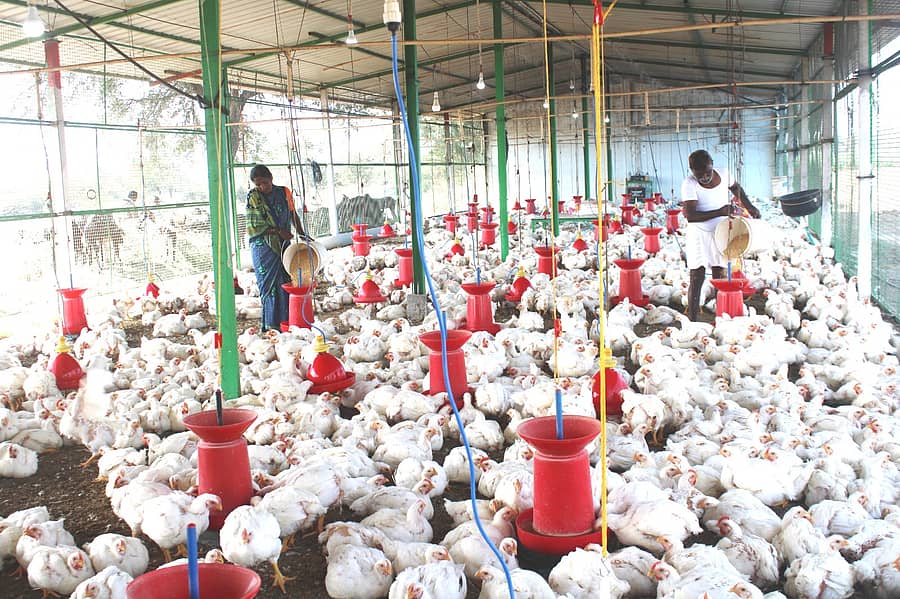 ಸಾಂಕೇತಿಕ ಚಿತ್ರ