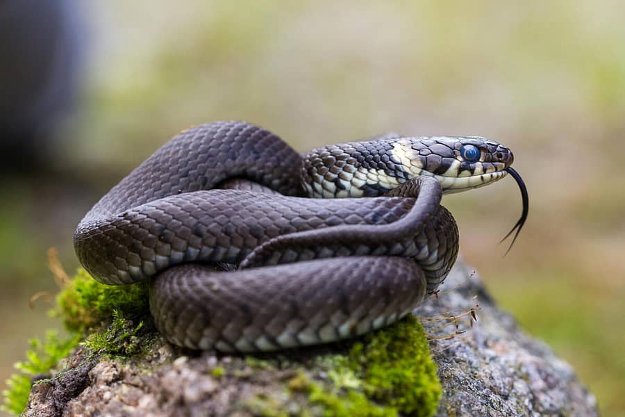 <div class="paragraphs"><p>ಚಿತ್ರ: ಗೆಟ್ಟಿ </p></div>