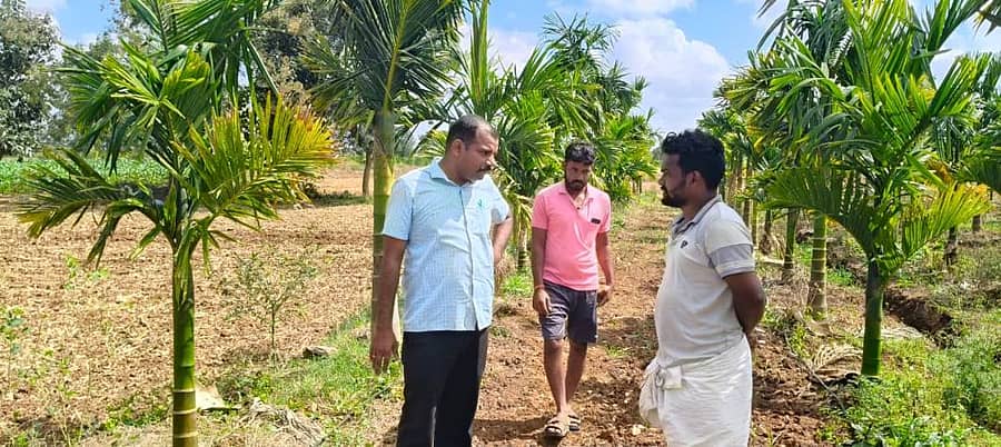 ರಟ್ಟೀಹಳ್ಳಿ ತಾಲ್ಲೂಕು ಹಿರೇಮೊರಬ, ಚಪ್ಪರದಹಳ್ಳಿ ಗ್ರಾಮಗಳ ಜಮೀನೊಂದರಲ್ಲಿ ಚಿರತೆ ಕಾಣಿಸಿಕೊಂಡ ಮಾಹಿತಿ ಹಿನ್ನಲೆಯಲ್ಲಿ ಅರಣ್ಯಾಧಿಕಾರಿ ವಿಜಯಕುಮಾರ ಮೂಡಬಾಗಿಲು ಭೇಟಿ ನೀಡಿ ಬುಧವಾರ ಪರಿಶೀಲನೆ ನಡೆಸಿದರು.