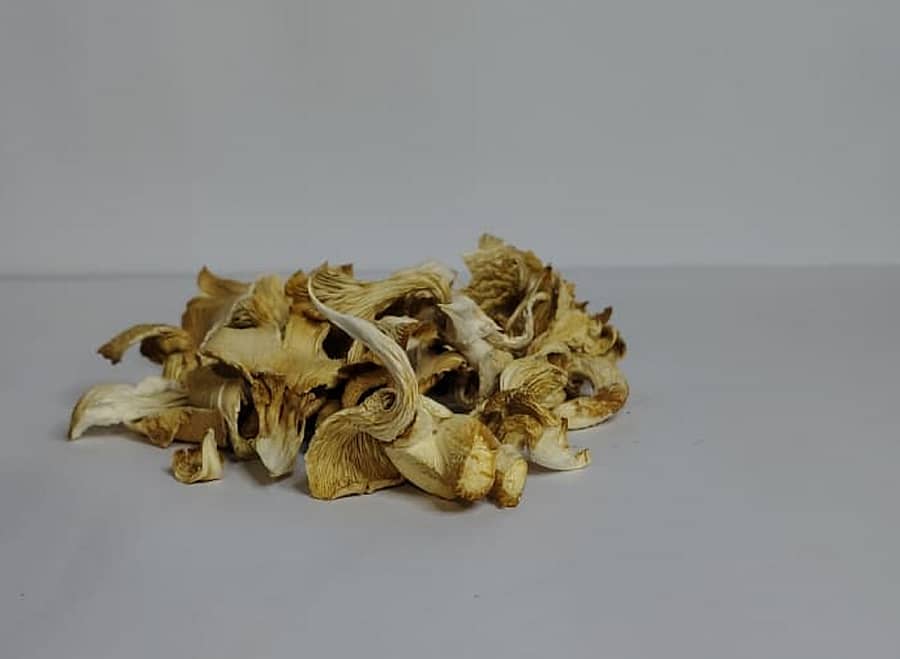 ಒಣಗಿಸಿದ ಅಣಬೆ