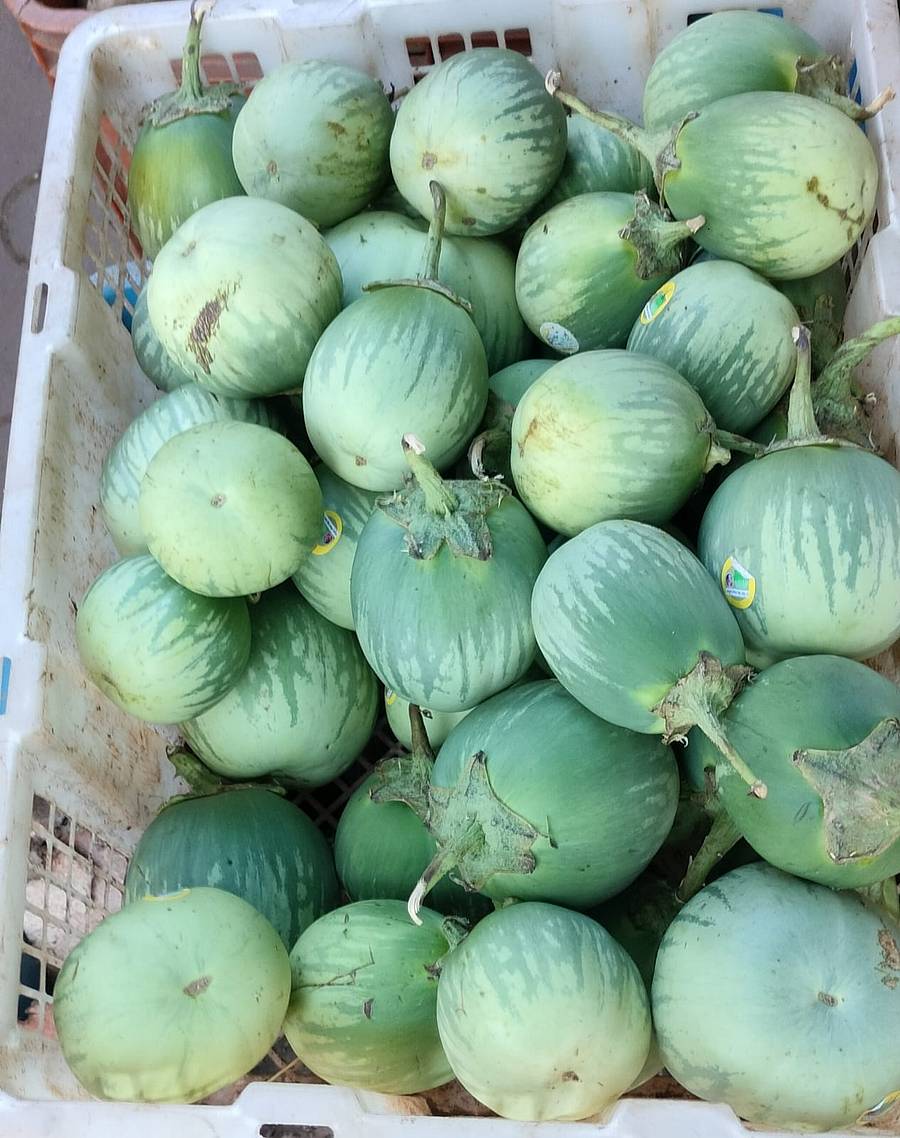 ಮಟ್ಟುಗುಳ್ಳ