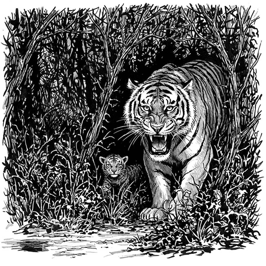 <div class="paragraphs"><p>ಹುಲಿ (ಪ್ರಾತಿನಿಧಿಕ ಚಿತ್ರ)</p></div>