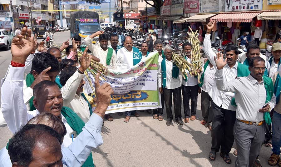 ಚಿಕ್ಕಮಗಳೂರು ನಗರದಲ್ಲಿ ರೈತರು ಕಬ್ಬಿನ ಹೊರೆಗಳೊಂದಿಗೆ ಪ್ರತಿಭಟನೆ ನಡೆಸಿದರು