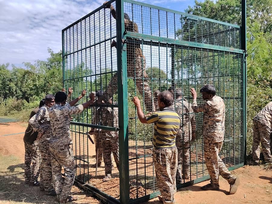 <div class="paragraphs"><p>ಸರಗೂರು ತಾಲ್ಲೂಕಿನ ಬೆಣ್ಣೆಗೆರೆ ಗ್ರಾಮದ ಜಮೀನಿನಲ್ಲಿ ಹುಲಿ ಸೆರೆ ಕಾರ್ಯಾಚರಣೆಗೆ ‘ವಾಕ್ ಥ್ರೂ ಕೇಜ್’ ಬಳಸಲಾಯಿತು</p></div>