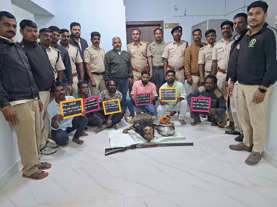 ಮೂಡಿಗೆರೆ ತಾಲ್ಲೂಕಿನ ನಿಡುವಾಳೆ ಗ್ರಾಮದ ಸೇಂಟ್ ಮೇರಿಸ್ ಕಲ್ಮನೆ ಎಸ್ಟೇಟಿನಲ್ಲಿ ನಡೆದ ಶಿಕಾರಿ ಪ್ರಕರಣಕ್ಕೆ ಸಂಬಂಧಿಸಿದಂತೆ ಆರು ಮಂದಿ ಆರೋಪಗಳನ್ನು ಅರಣ್ಯಾಧಿಕಾರಿಗಳು ಬಂಧಿಸಿದ್ದಾರೆ