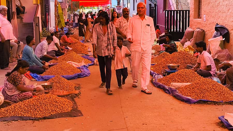 ವೆಂಕಟಾಲದಲ್ಲಿರುವ ಅಭಯ ಮಹಾಗಣಪತಿ ದೇವಾಲಯದ 13ನೇ ವಾರ್ಷಿಕೋತ್ಸವದ ಪ್ರಯುಕ್ತ ಆಯೋಜಿಸಿದ್ದ ಕಡಲೇಕಾಯಿ ಪರಿಷೆಯ ದೃಶ್ಯ