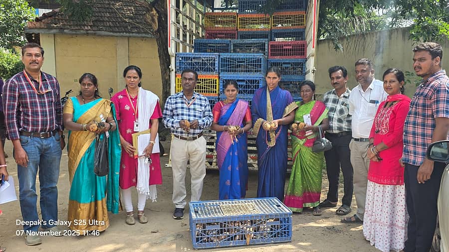 ನಂಜನಗೂಡಿನ ಪಶುಪಾಲನಾ ಇಲಾಖೆ ಆವರಣದಲ್ಲಿ ಇಲಾಖೆಯ ಸಹಾಯಕ ನಿರ್ದೇಶಕ ಮೋಹನ್ ಕುಮಾರ್ ಅವರು ಈಚೆಗೆ ಫಲಾನುಭವಿಗಳಿಗೆ ನಾಟಿ ಕೋಳಿ ಮರಿಗಳನ್ನು ವಿತರಣೆ ಮಾಡಿದರು