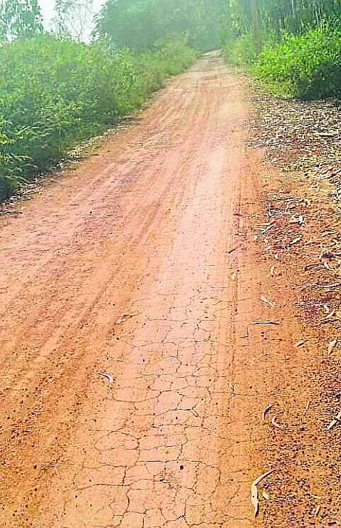 <div class="paragraphs"><p>ಚಿಂತಾಮಣಿ ಮುಖ್ಯ ರಸ್ತೆಯಿಂದ ಹೊಸದಿಂಬಹಳ್ಳಿ ಹಳ್ಳಿಯ ಕಚ್ಚಾರಸ್ತೆ</p></div>