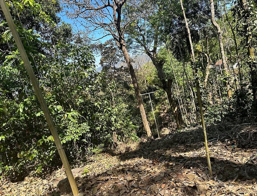 ಮೂಡಿಗೆರೆ ತಾಲ್ಲೂಕು ತತ್ಕೋಳ ಮೀಸಲು ಅರಣ್ಯ ವ್ಯಾಪ್ತಿಯಲ್ಲಿ ನಿರ್ಮಿಸಿರುವ ಸೋಲಾರ್ ಟೆಂಟಕಲ್ ಬೇಲಿ (ಸಂಗ್ರಹ ಚಿತ್ರ)