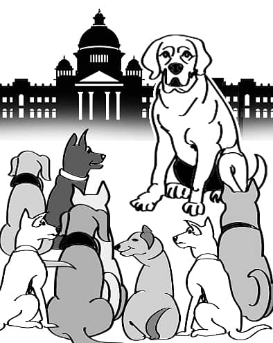 ಚುರುಮುರಿ