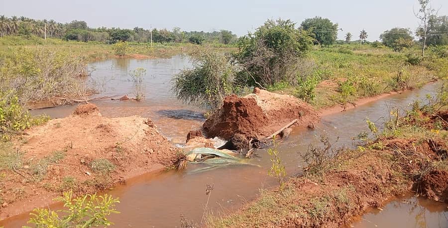 ಹಿರಿಯೂರು ತಾಲ್ಲೂಕಿನ ಕೂಡ್ಲಹಳ್ಳಿ ಸಮೀಪ ವಾಣಿವಿಲಾಸ ಬಲನಾಲೆಯ ನೀರು ಹರಿದು ಹೊಲದ ತುಂಬ ನಿಂತಿರುವುದು