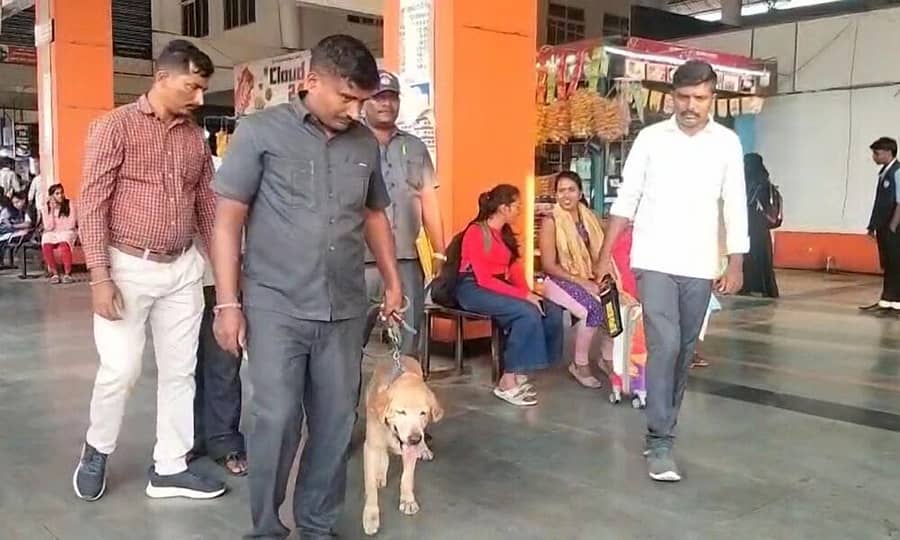 ಹಾಸನದ ಕೇಂದ್ರ ಬಸ್ನಿಲ್ದಾಣದಲ್ಲಿ ಶ್ವಾನದಳದೊಂದಿಗೆ ತಪಾಸಣೆ ನಡೆಸಲಾಯಿತು.