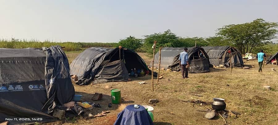 ಕಬ್ಬು ಕಟಾವಿಗೆ ಬಂದಿರುವ ಕಾರ್ಮಿಕರ ಟೆಂಟ್ಗಳು