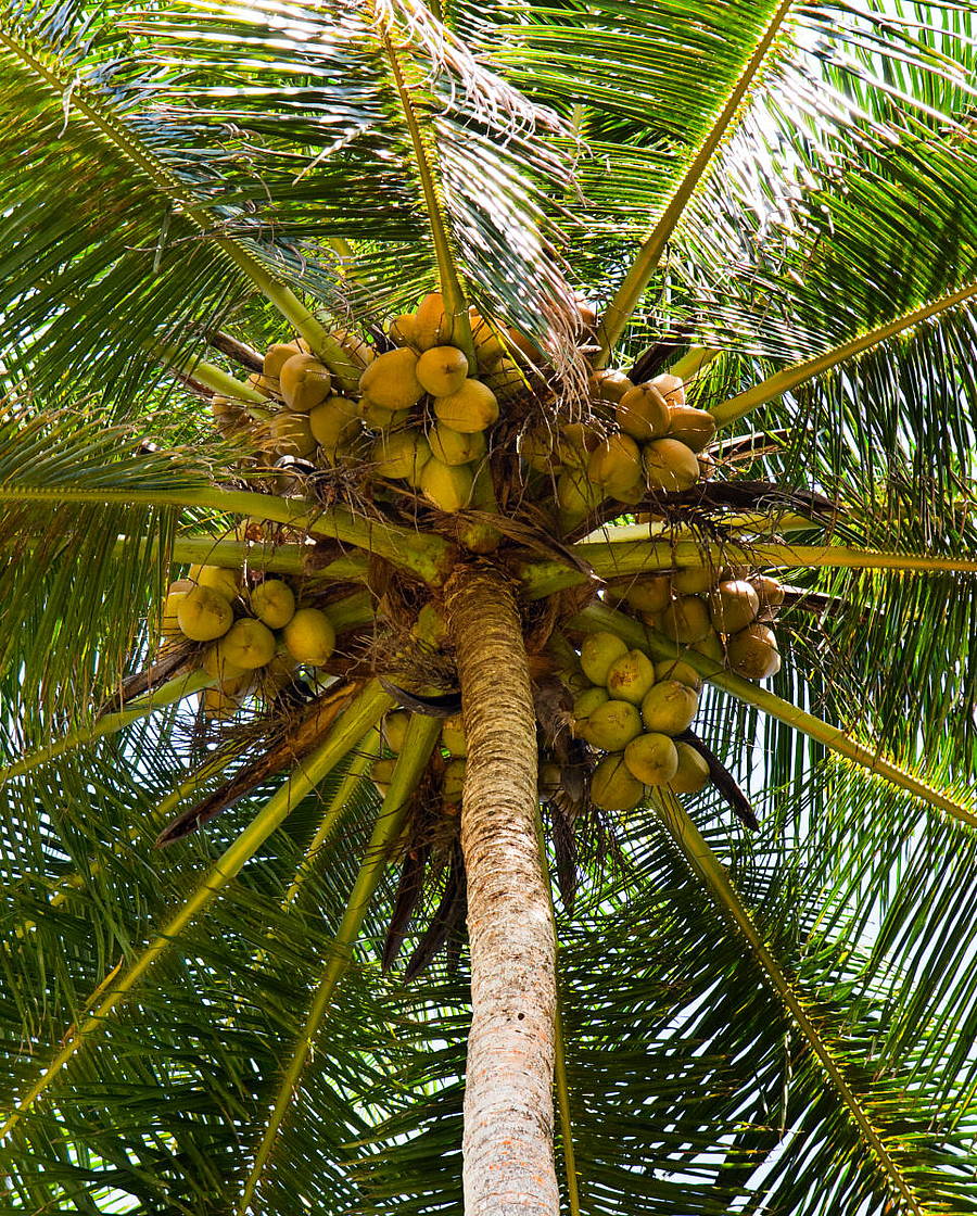 <div class="paragraphs"><p>ಚಿತ್ರ: ಗೆಟ್ಟಿ ಚಿತ್ರ</p></div>