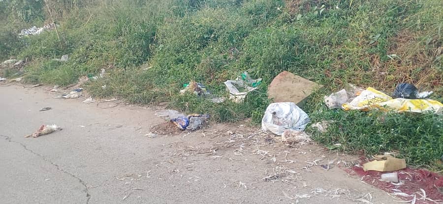 ಆನೇಕಲ್ ಪುರಸಭೆಯ ವ್ಯಾಪ್ತಿಯ ಸ್ಮಶಾನದ ರಸ್ತೆಯಲ್ಲಿ ರಸ್ತೆ ಬದಿಯಲ್ಲಿ ಕಸ ಸುರಿದಿರುವುದು