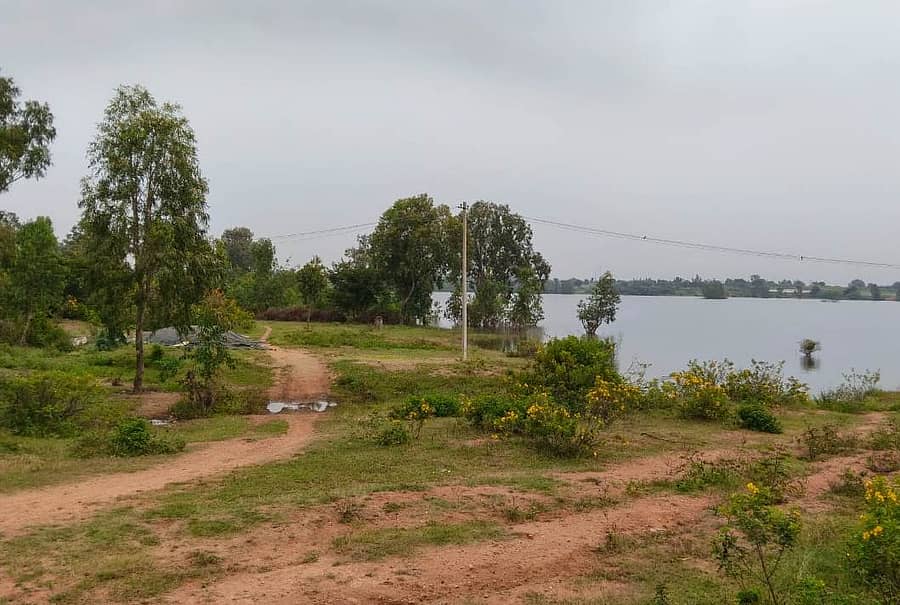 <div class="paragraphs"><p>ಯಲಬುರ್ಗಾ ತಾಲ್ಲೂಕು ತಲ್ಲೂರು ಕೆರೆಗೆ ಹೊಂದಿಕೊಂಡು ರೈತರು ಒತ್ತುವರಿ ಮಾಡಿಕೊಂಡು ವಿವಿಧ ಕೃಷಿಯಲ್ಲಿ ತೊಡಗಿರುವ ದೃಶ್ಯ </p></div>