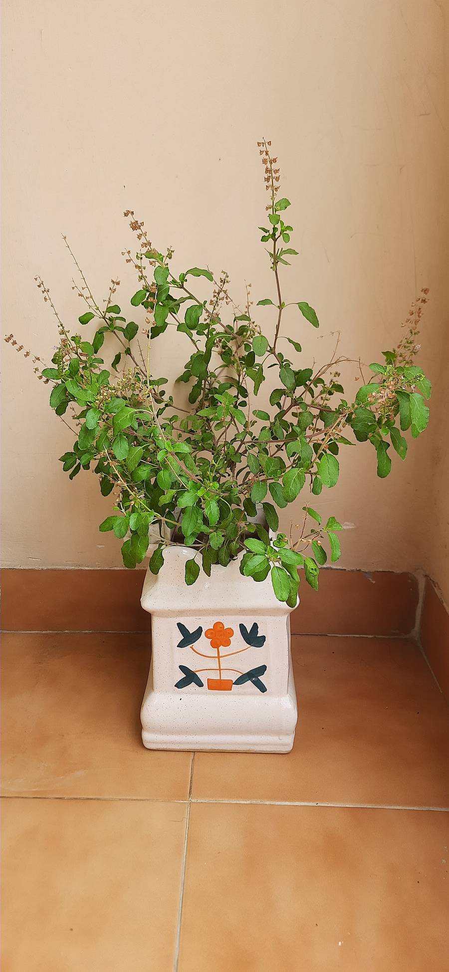 <div class="paragraphs"><p>ಚಿತ್ರ:ಎಐ</p></div>