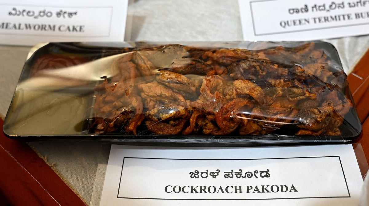 Insect Food Innovation: ಕೃಷಿ ಮೇಳದಲ್ಲಿ ಗಮನ ಸೆಳೆದ ಆಹಾರ: ಜಿರಳೆ ಪಕೋಡ, ರಾಣಿ ...