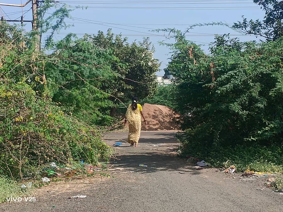 ಬಾಗಲಕೋಟೆಯ ನವನಗರದ ಸೆಕ್ಟರ್ 31ರಲ್ಲಿ ಎರಡೂ ಬದಿ ಮುಳ್ಳಿನ ಕಂಟಿ ಬೆಳೆದಿರುವುದು