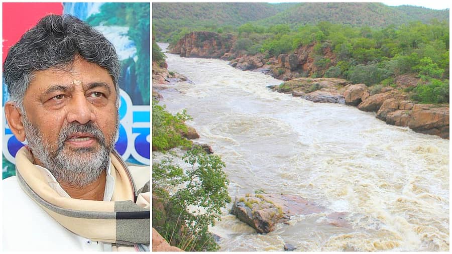 <div class="paragraphs"><p>ಡಿ.ಕೆ. ಶಿವಕುಮಾರ್, ಮೇಕೆದಾಟು ಪ್ರದೇಶದಲ್ಲಿ ಭೋರ್ಗರೆಯುತ್ತಾ ಹರಿದಿರುವ ಕಾವೇರಿ ಪ್ರಜಾವಾಣಿ ಚಿತ್ರ : ಆರ್‌.ಜಿತೇಂದ್ರ</p></div>