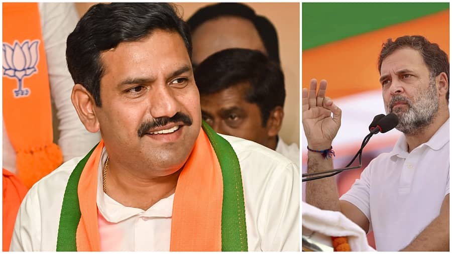 <div class="paragraphs"><p>ಬಿವೈವಿ, ರಾಹುಲ್</p></div>