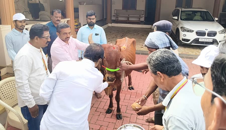 ಜಮಖಂಡಿಯ ಶಾಸಕರ ಗೃಹ ಕಚೇರಿಯಲ್ಲಿ ಪಶುಪಾಲನಾ ಮತ್ತು ಪಶುವೈದ್ಯಕೀಯ ಸೇವಾ ಇಲಾಖೆಯ ವತಿಯಿಂದ ರಾಷ್ಟ್ರೀಯ ಜಾನುವಾರು ರೋಗ ನಿಯಂತ್ರಣ ಕಾರ್ಯಕ್ರಮದ ಅಡಿಯಲ್ಲಿ ಉಚಿತ ಲಸಿಕಾ ಅಭಿಯಾನಕ್ಕೆ ಶಾಸಕ ಜಗದೀಶ ಗುಡಗುಂಟಿ ಚಾಲನೆ ನೀಡಿದರು