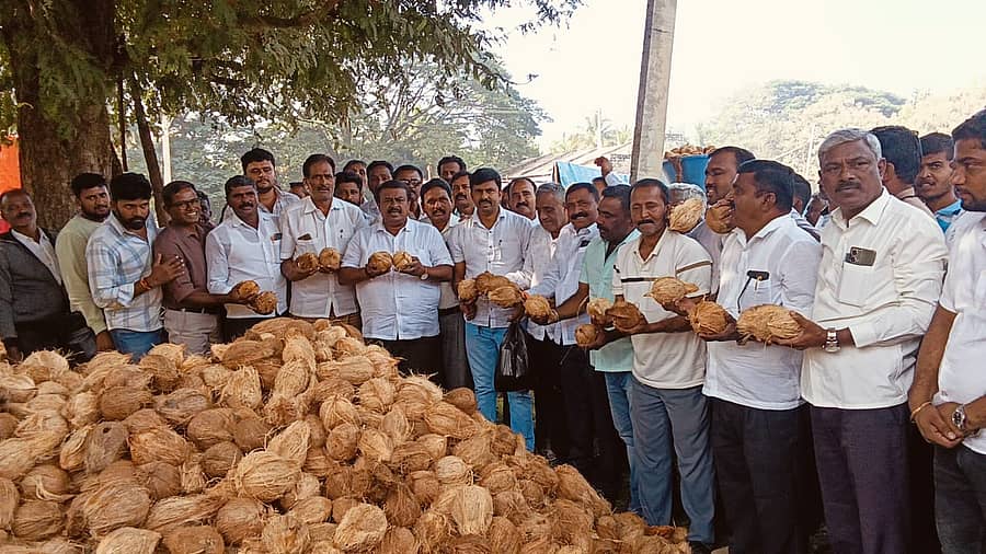 ನುಗ್ಗೇಹಳ್ಳಿ ಹೋಬಳಿ ಕೇಂದ್ರದ ಎಪಿಎಂಸಿ ಉಪ ಮಾರುಕಟ್ಟೆಯಲ್ಲಿ ತೆಂಗಿನಕಾಯಿ ಸಂತೆಗೆ ಶಾಸಕ ಸಿ.ಎನ್.ಬಾಲಕೃಷ್ಣ ಚಾಲನೆ ನೀಡಿದರು