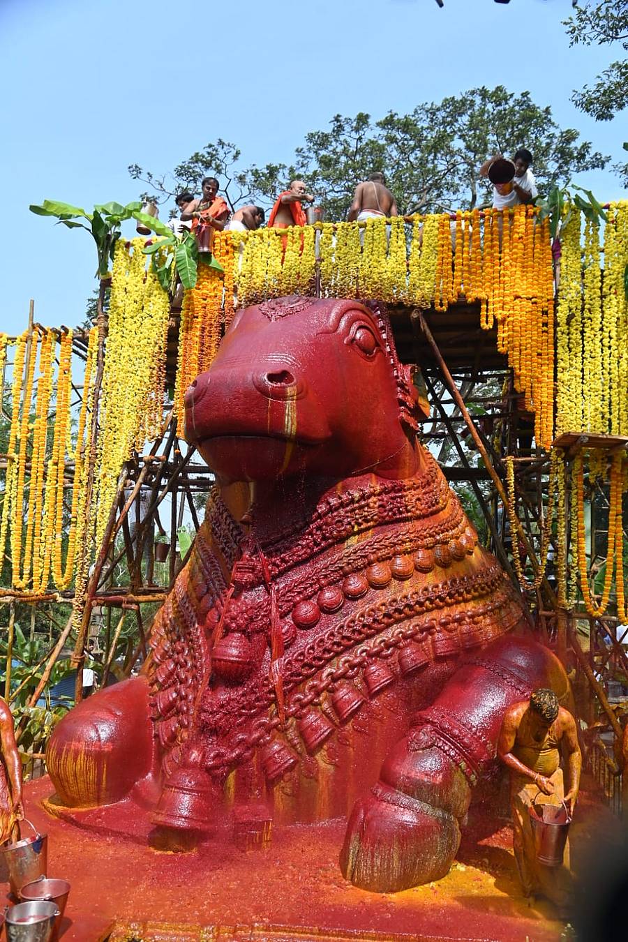 <div class="paragraphs"><p>ಚಾಮುಂಡಿಬೆಟ್ಟದ ಬಳಗ ಚಾರಿಟಬಲ್ ಟ್ರಸ್ಟ್ ವತಿಯಿಂದ ಸೋಮವಾರ ನಡೆಸಿದ ಮಹಾಭಿಷೇಕದಲ್ಲಿ ಚಾಮುಂಡಿಬೆಟ್ಟದ ನಂದಿ ವಿಗ್ರಹವು ವಿವಿಧ ವರ್ಣಗಳಲ್ಲಿ ಕಂಗೊಳಿಸಿತು. ಒಮ್ಮೆ ಶ್ವೇತ ವರ್ಣದಲ್ಲಿ ಕಂಡರೆ, ಮತ್ತೊಮ್ಮೆ ಕೆಂಪು, ಅರಿಸಿಣದ ಬಣ್ಣಗಳಲ್ಲಿ ಮೈದೋರಿತು. ನಂತರ, ಫಲಾಭಿಷೇಕವನ್ನು ನೆರವೇರಿಸಲಾಯಿತು.</p><p></p></div>