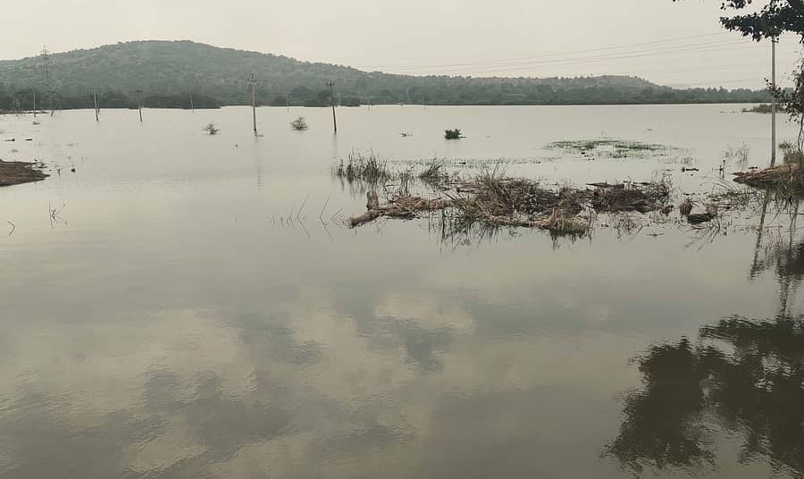 ಬಾಗೇಪಲ್ಲಿ ತಾಲ್ಲೂಕಿನ ಆಚೇಪಲ್ಲಿ ಗ್ರಾಮದ ಕೆರೆ ತುಂಬಿದ ಎಚ್.ಎನ್ ವ್ಯಾಲಿಯಿಂದ ಸಂಸ್ಕರಿಸಿದ ನೀರು 