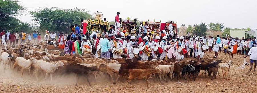 ಪಾವಗಡ ತಾಲ್ಲೂಕಿನ ವೈ.ಎನ್. ಹೊಸಕೋಟೆಯಲ್ಲಿ ಸೋಮವಾರ ಸಾಂಪ್ರದಾಯಿಕ ಗೋವಿನ ಹಬ್ಬವನ್ನು ಸಂಭ್ರಮದಿಂದ ಆಚರಿಸಲಾಯಿತು.