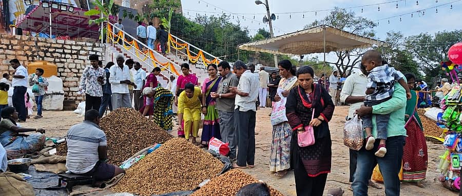ದೇವನಹಳ್ಳಿಯ ಪರಿವಾಟ ಗುಡ್ಡದಲ್ಲಿ ಕಡಲೆಕಾಯಿ ಪರಿಷೆ ನಡೆಯಿತು