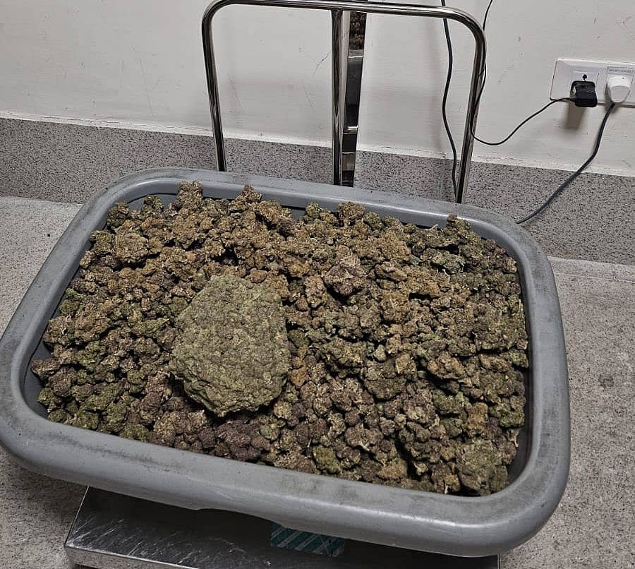 ಜಪ್ತಿಯಾಗಿರುವ ಗಾಂಜಾ