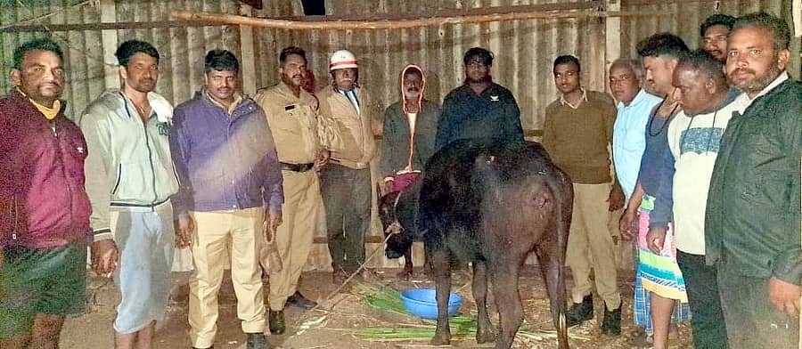 ತೇರದಾಳ ತಾಲ್ಲೂಕಿನ ಸಸಾಲಟ್ಟಿಯಲ್ಲಿ ಆಳವಾದ ತೆರೆದ ಬಾವಿಗೆ ಬಿದ್ದಿದ್ದ ಎಮ್ಮೆಯೊಂದನ್ನು ಅಗ್ನಿಶಾಮಕ ದಳದ ಸಿಬ್ಬಂದಿ ಸುರಕ್ಷಿತವಾಗಿ ಮೇಲಕ್ಕೆತ್ತಿದರು